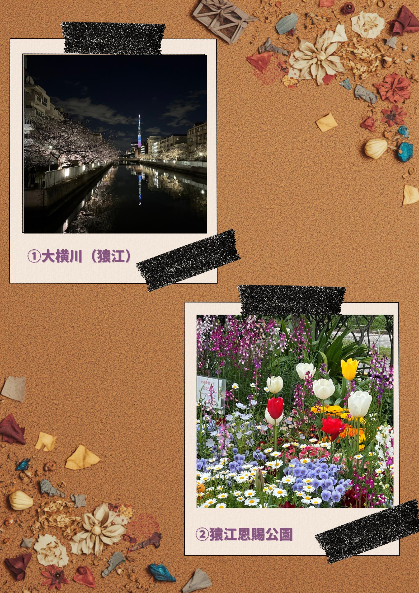 みんなでこうとうMAP (5) みんなでこうとうMAP (5)