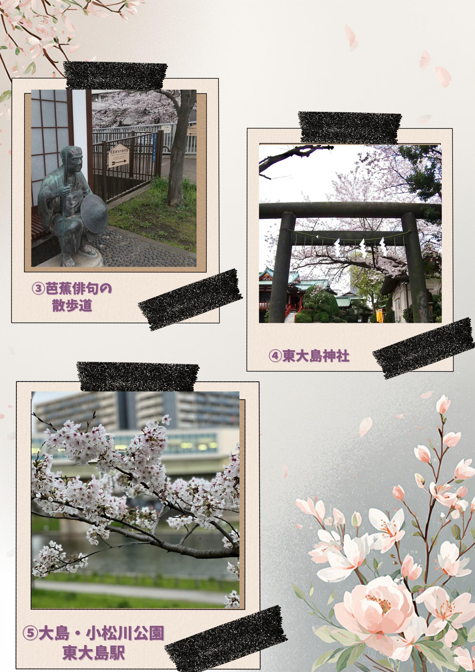 みんなでこうとうMAP (1) みんなでこうとうMAP (1)